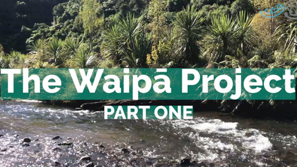 WAIPA PART ONE