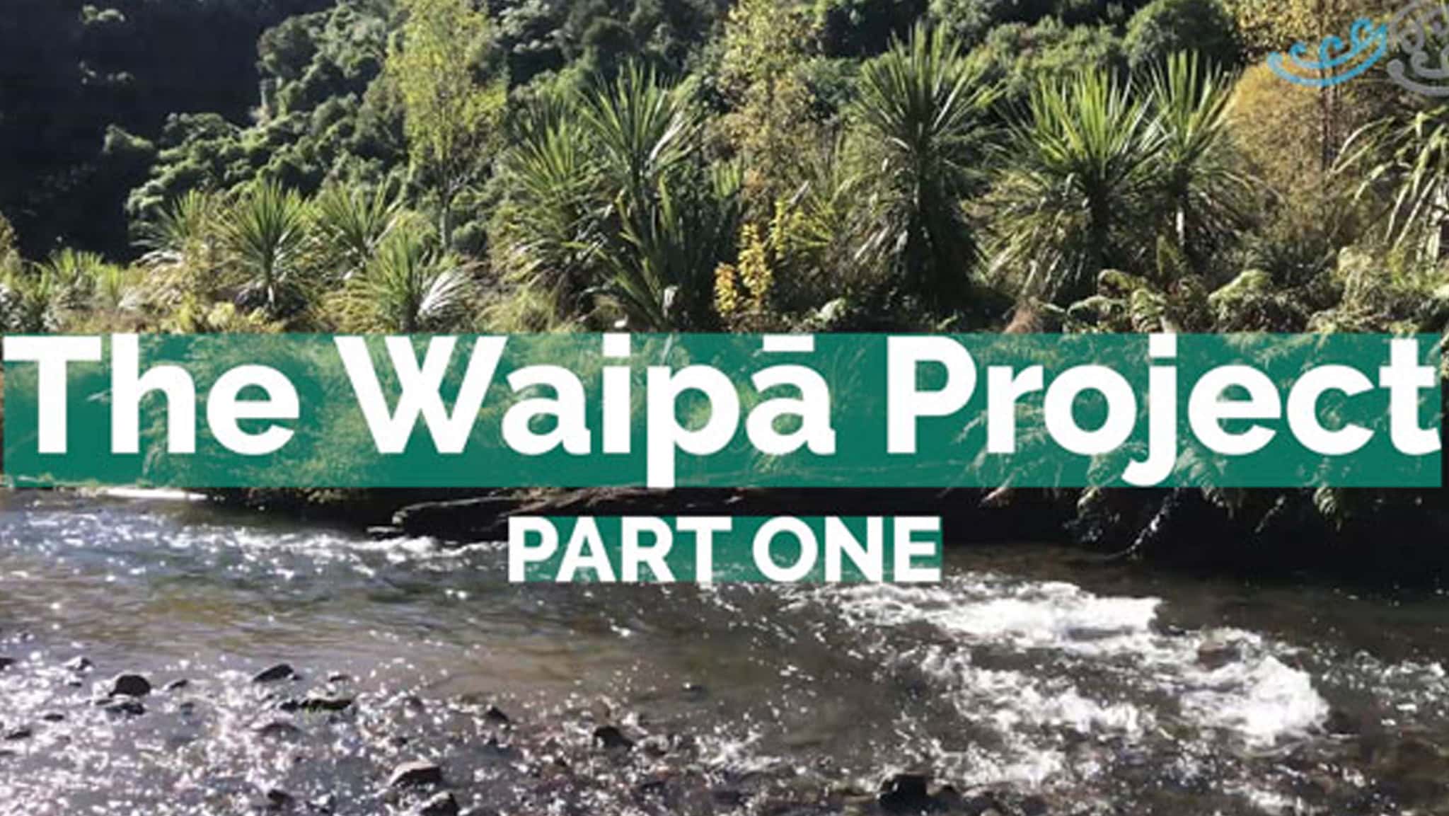 WAIPA PART ONE