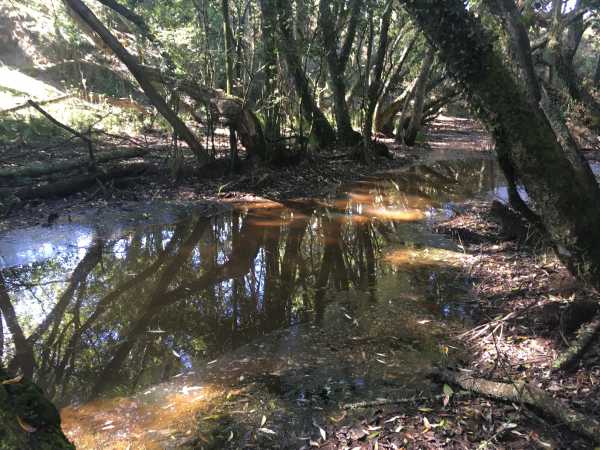 Dirty water