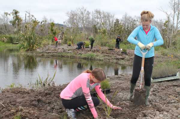 girl planting
