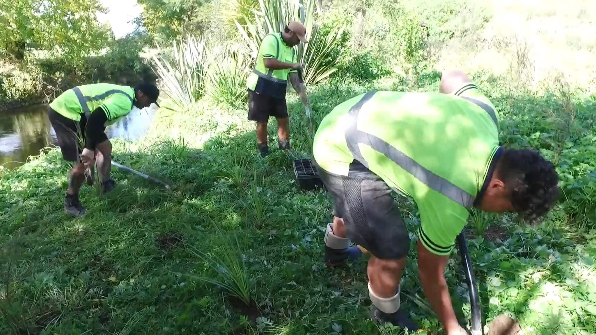 puniu river care