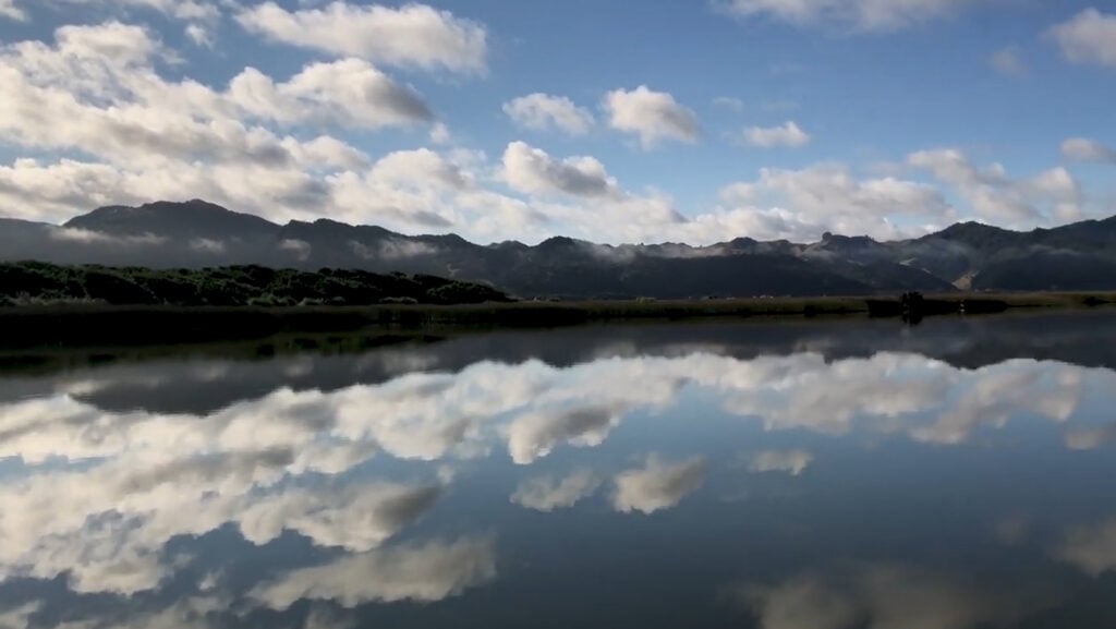 restoring motukakaho island