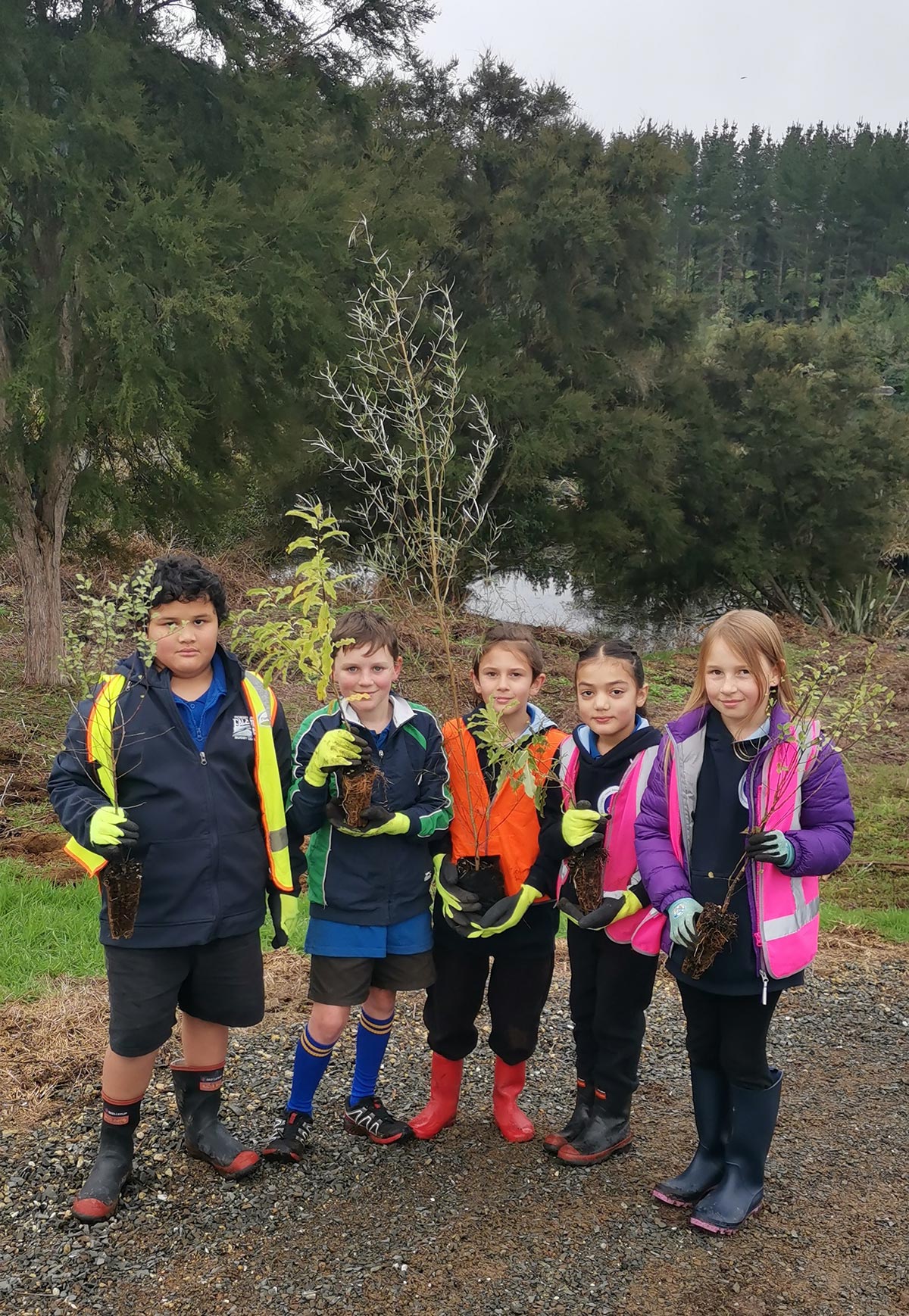 waikato river authority our stories waikato river authority waikato river trails riparian work 4